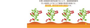 CO2を排出しないクリーンエネルギーです。