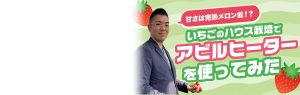 いちごのハウス栽培でアビルヒーターを使ってみた。